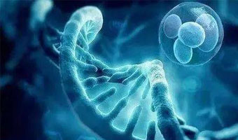mNGS病原微生物(wù)宏基因組檢測