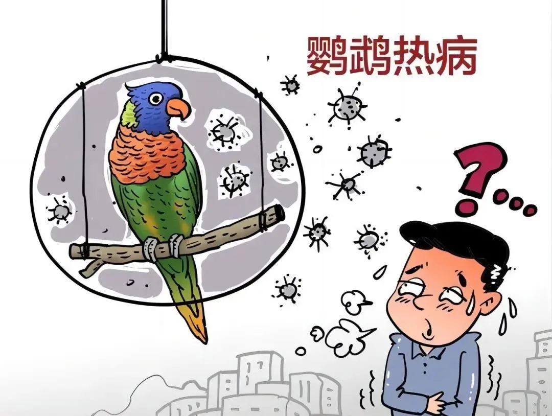 多地(dì)出現的(de)“鹦鹉熱(rè)”，是否會(huì)人(rén)傳人(rén)？我們要怎麽預防？